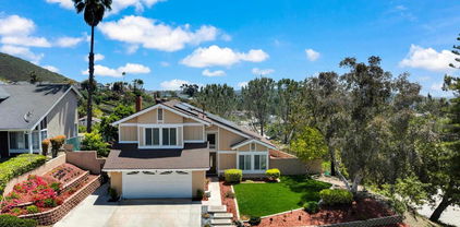 9959 Riverhead Dr, Rancho Penasquitos