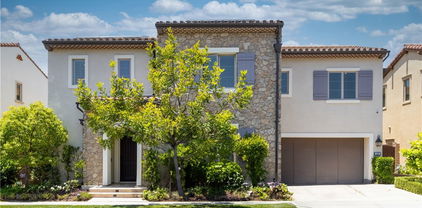 65 English Saddle, Irvine