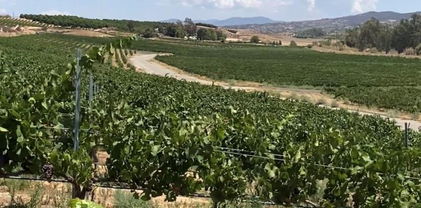 Valle Toscana Ct, Temecula