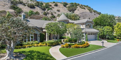 6945 E Hidden Oaks Lane, Orange