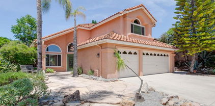 407 Debra Ann Drive, Fallbrook