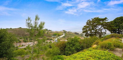 4265 Spoon Bill Way, Oceanside