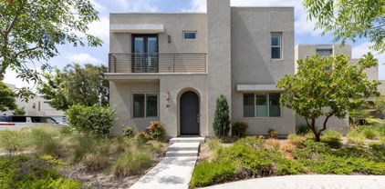 101 Menkar, Irvine