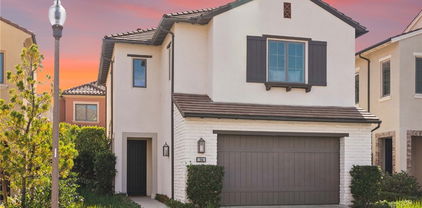 146 Bellini, Irvine