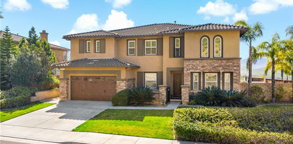 16423 Village Meadow Drive, Riverside