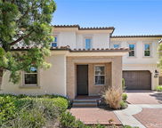 21 Fanpalm, Irvine image