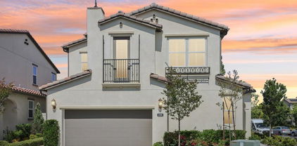 6698 Spartina Ct, Carlsbad