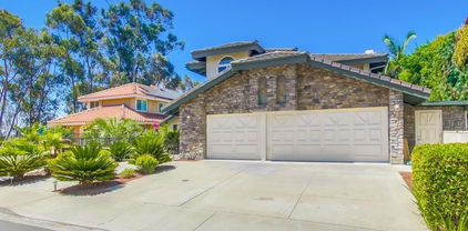 10616 Falcon Rim Pt, Scripps Ranch