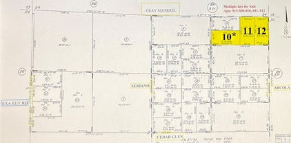 10 Gray Squirrel Lot 10, Hemet