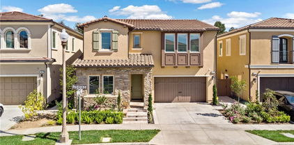 52 Pedigree, Irvine