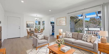 236 Diamond Way Unit 249, Vista