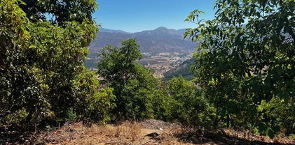 Pauma Heights Rd, Valley Center