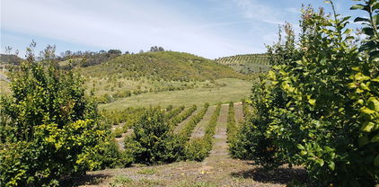 7 Calle Jardin, Temecula