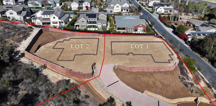1331 Berryman Canyon Road, Encinitas