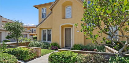 3 Mineral King, Irvine