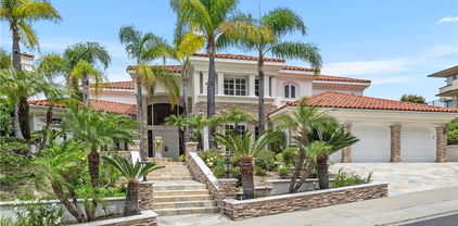 3211 E Mandeville Place, Orange