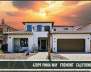 42099 Vinha Way, Fremont image
