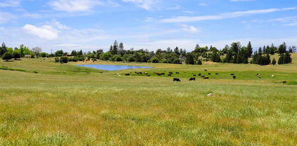 3510 Deer Lake Park Road, Julian