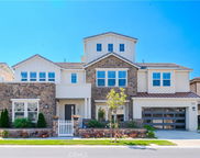 68 Chasma, Irvine image