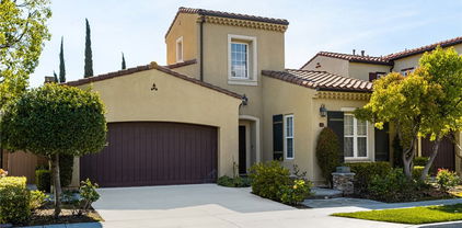 62 Crabapple, Irvine
