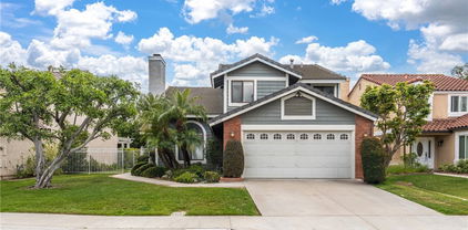 21340 Via Del Puma, Yorba Linda