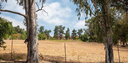 McDonald, Fallbrook