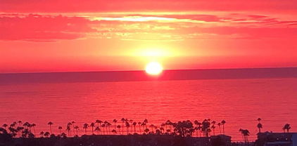 2500 Torrey Pines Road Unit 1205, La Jolla