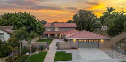 325 Santa Helena Drive, Solana Beach