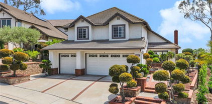 6322 E West View Drive, Orange