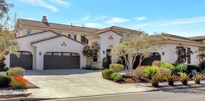 29310 Paseo Palmar, San Juan Capistrano