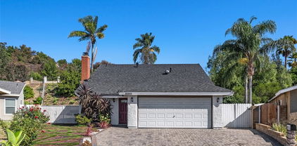 26812 Via Llano, Mission Viejo