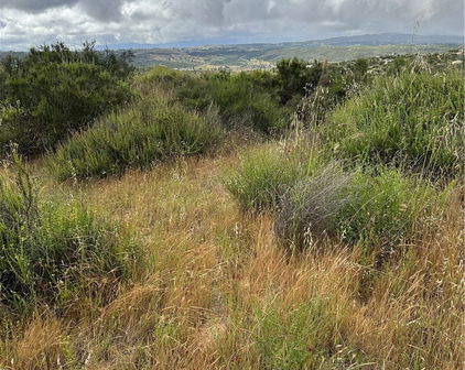 Voyager Road, Temecula