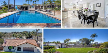 1719 Elser Ln, Escondido