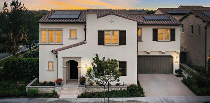 61 English Saddle, Irvine