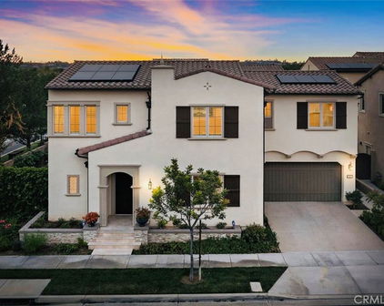 61 English Saddle, Irvine