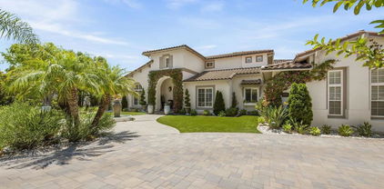17150 Tallow Tree Lane, San Diego