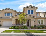 66 Chasma, Irvine image