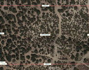 Daisy Road, Oak Hills image