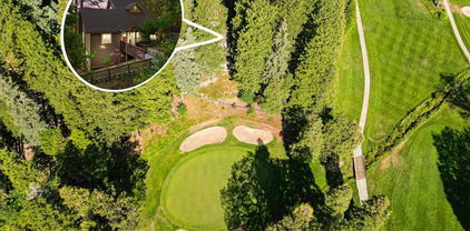 207 N Fairway Drive N, Lake Arrowhead