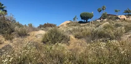 Segner, Hemet