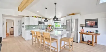 1447 Puritan Dr, Oceanside