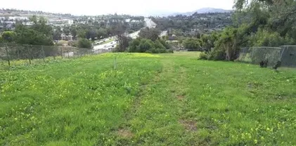 538 Plumosa Ave, Vista