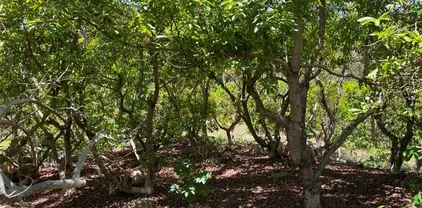 1 Vista Del Mar, Temecula