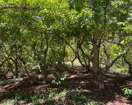 1 Vista Del Mar, Temecula