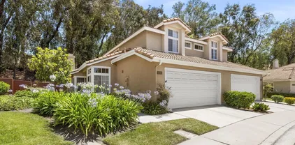 11781 Caminito De Las Missiones, Rancho Bernardo/Sabre Springs/Carmel Mt Ranch