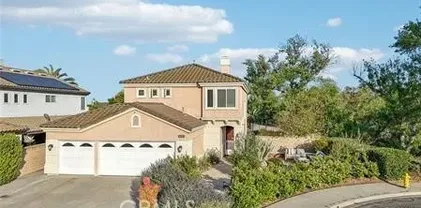 14213 Aliso Ct, Chino Hills