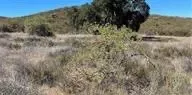 19 Gunnels, Hemet