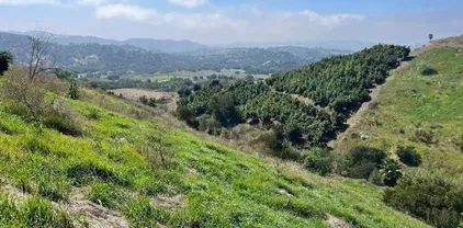 20 Terreno, Temecula
