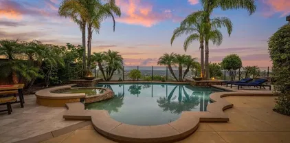 3219 Corte Paloma, Carlsbad