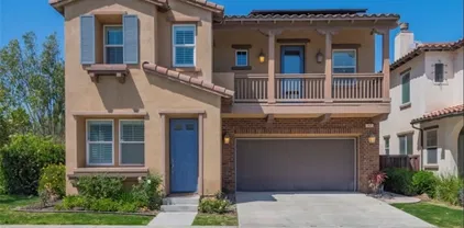 397 W Tulip Tree Ave, Orange